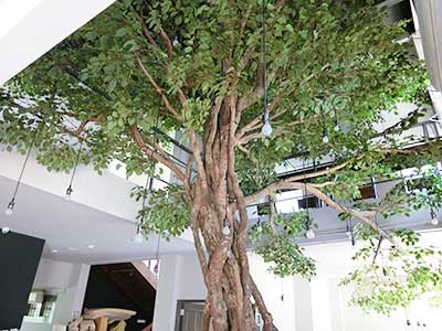 Indoor Garden Works The Tree Thonglor Flower Design Lab